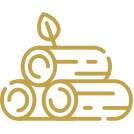 Icon 4